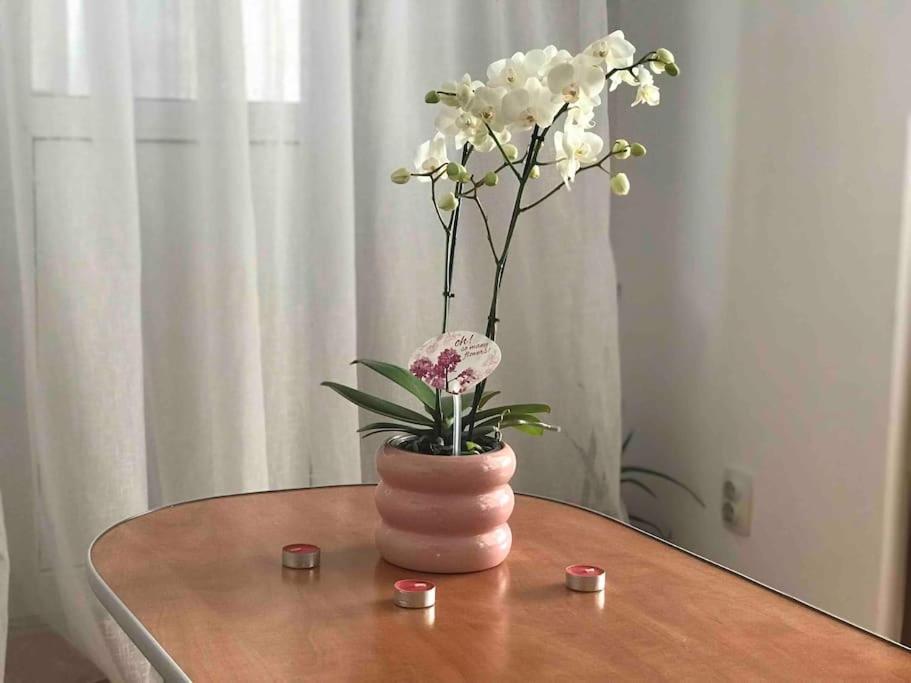Fully Furnished Spacious 2bedroom Apartament Bucureşti